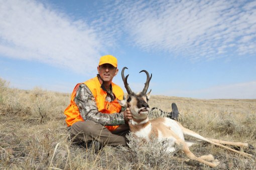 Pronghorn Hunting CO